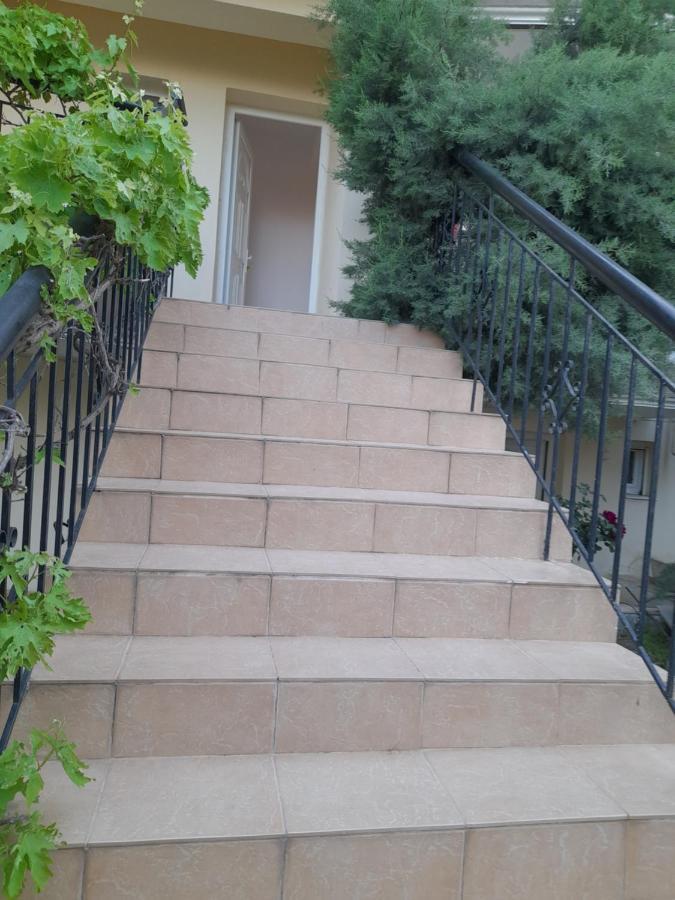 Villa Leopard Stavros  Dış mekan fotoğraf